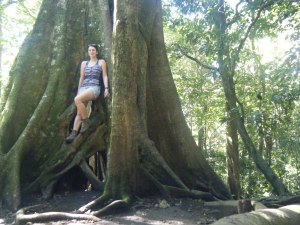 Climbing on a big fig tree I found on a hike near the butterfly gardens